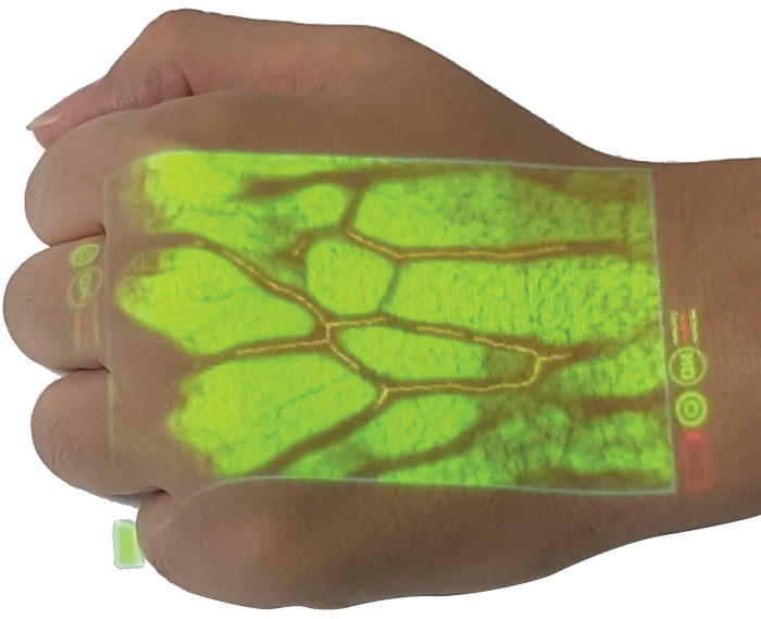vein finder