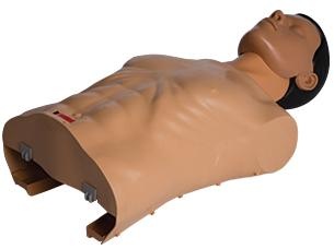 ambuSAMLarge